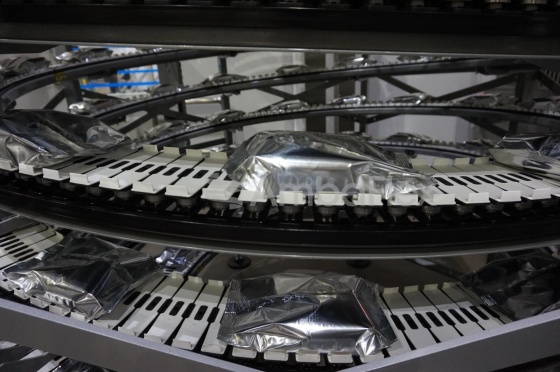 All-purpose spiral conveyor for medium to large products
